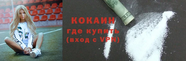 МДПВ Алзамай