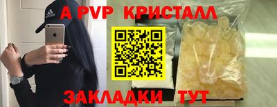Альфа ПВП Малгобек
