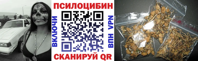 Псилоцибиновые грибы Psilocybe  Губкин 