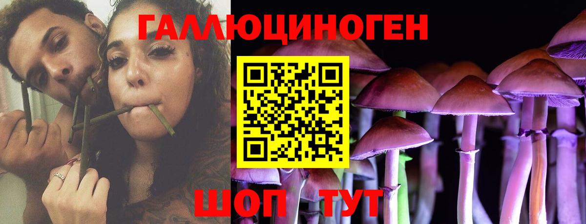 Псилоцибиновые грибы Psilocybine cubensis Губкин