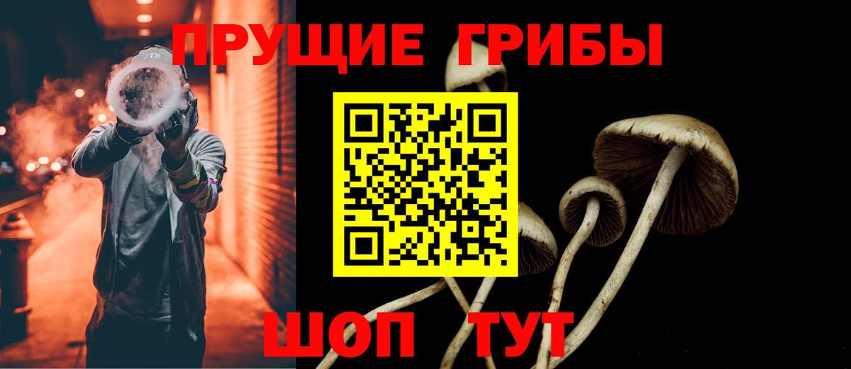 Псилоцибиновые грибы Psilocybe  Вход с VPN  Губкин 